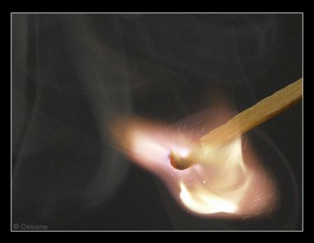 toujr abdellah avec des nvx