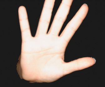 Le perroquet reconsid�rent ce qui je dit