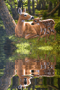 oila logiciel de l'attachments  